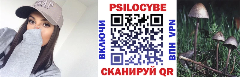 Псилоцибиновые грибы GOLDEN TEACHER  Чехов 